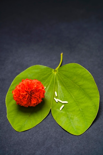 Grünes Blatt, Reis und Orangenblume