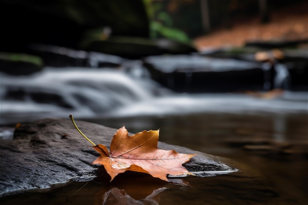 Grünes Blatt schwimmt im dunklen Wasser. KI-generierte Inhalte