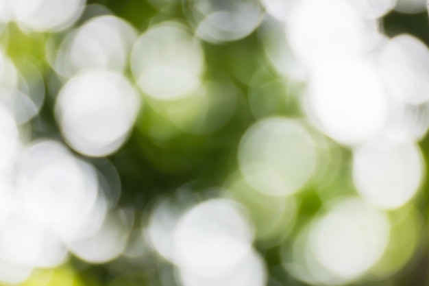 Foto grünes bokeh-abstract