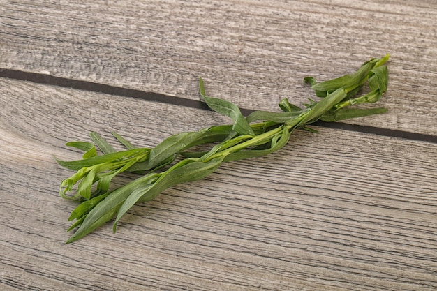 Foto grünes estragon kräuter gewürz zum kochen