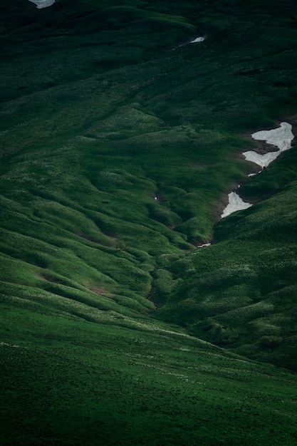 Grünes Feld auf Plateau