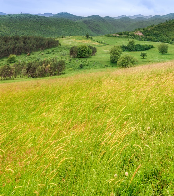 Grünes Feld mit Bergen