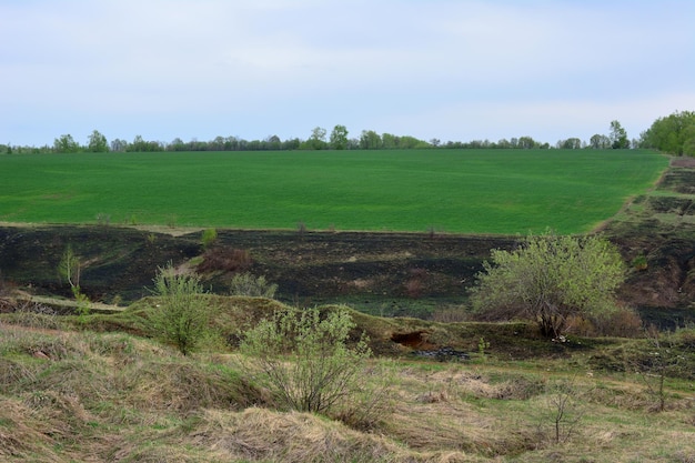 Foto grünes feld mit bewölktem himmel und verbranntem teil des feldkopierraums