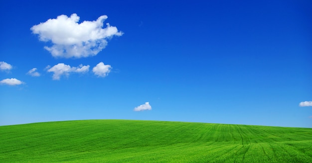 Grünes Feld mit blauem Himmel und Wolke