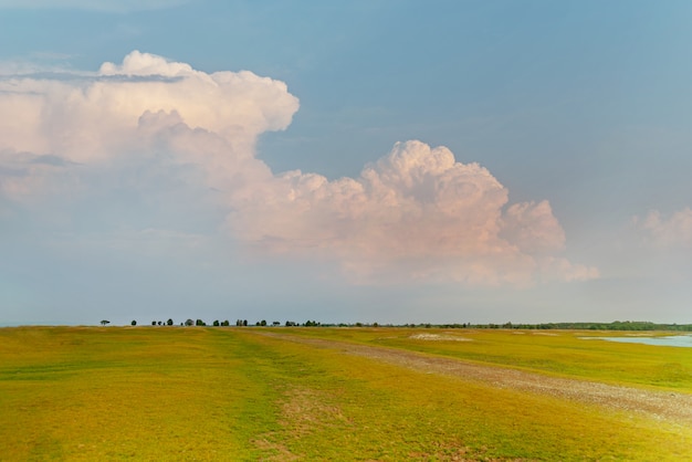 Grünes Feld mit blauem Himmelhintergrund