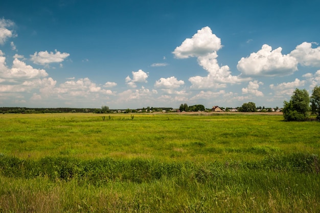 Grünes Feld mit schönem blauem Himmel