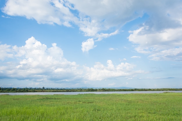 Grünes Feld und blauer Himmel mit hellen Wolken