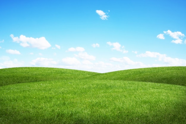 Grünes Feld und blauer Himmel