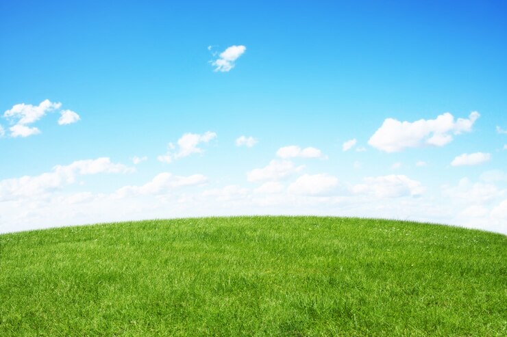Foto grünes feld und blauer himmel
