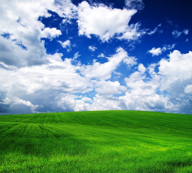 Grünes Feld und blauer Himmel