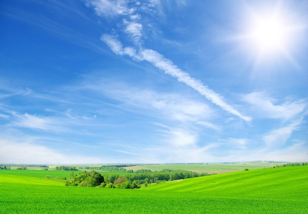 Grünes Feld und blauer Himmel