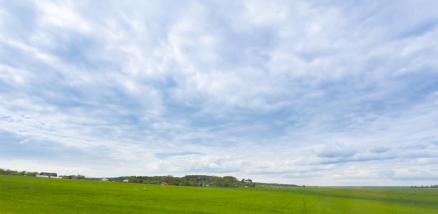 Grünes Feld und blauer Himmel