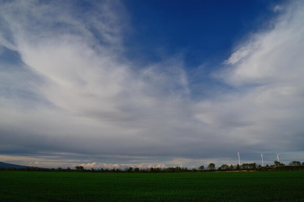 Grünes Feld und Himmel