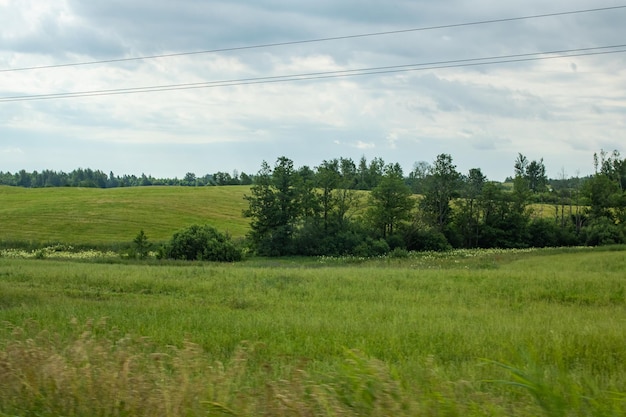 Grünes Feld und Wald unter bewölktem blauem Himmel