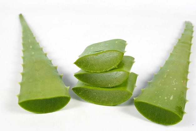 Grünes frisches Aloe Vera Blatt auf weißem Hintergrund. Kräuter für gesund