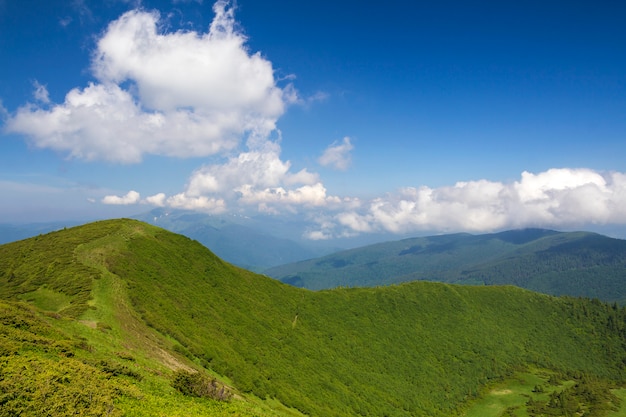 Grünes gebirgspanorama unter blauem himmel am hellen sonnigen tag. tourismus und reisendes konzept, kopienraum