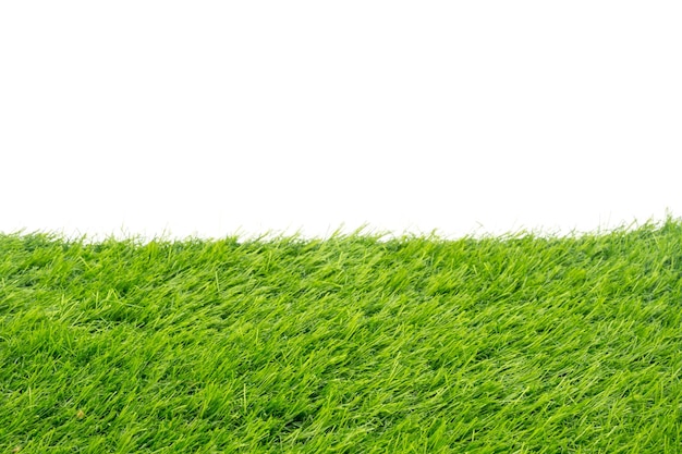 Grünes Gras auf weißem Hintergrund