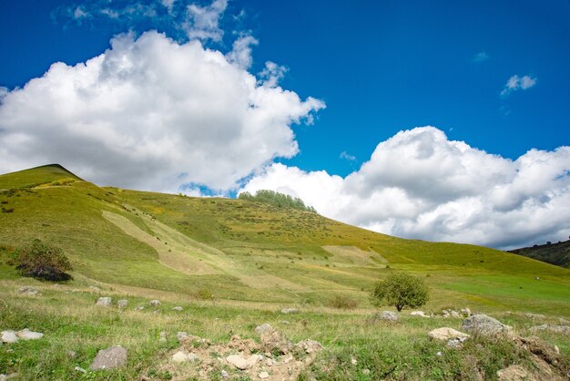 Grünes Gras der Sommerberge und Landschaft des blauen Himmels