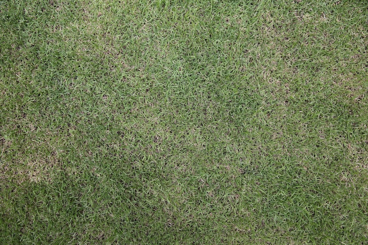 Foto grünes gras hintergrundtextur