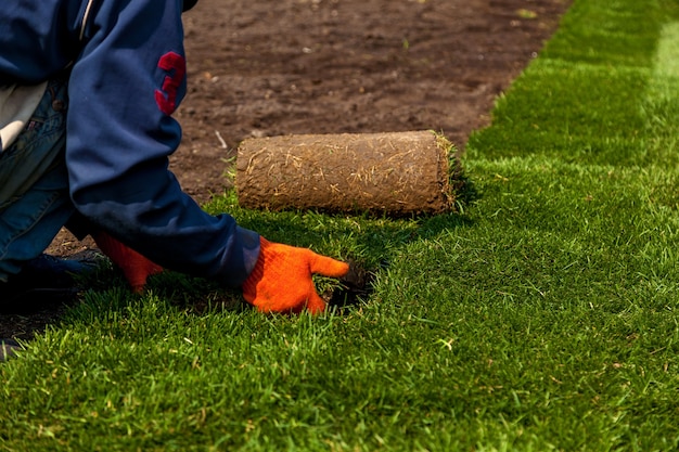 Grünes Gras in Rollen für Rasen und Designerlandschaft. Das Stapeln von rollgrünem Rasengras