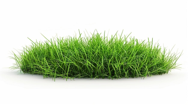 Grünes Gras mit weißem Hintergrund