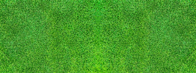 Grünes Gras Textur Hintergrund Gras Gartenkonzept für die Herstellung von grünem Hintergrund Fußballplatz verwendet Grass Golf grünen Rasen Muster strukturierten Hintergrund