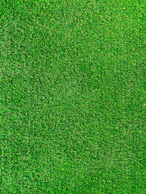 Grünes Gras Textur Hintergrund Gras Gartenkonzept für die Herstellung von grünem Hintergrund Fußballplatz verwendet Grass Golf grüner Rasen Muster texturierter backgroundx9