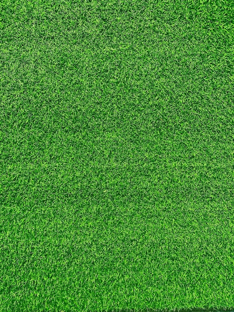 Grünes Gras Textur Hintergrund Gras Gartenkonzept für die Herstellung von grünem Hintergrund Fußballplatz verwendet Grass Golf grüner Rasen Muster texturierter backgroundx9