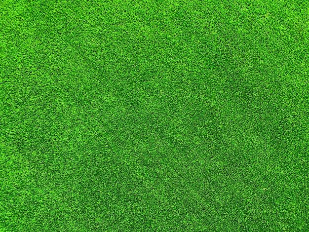 Grünes Gras Textur Hintergrund Grasgartenkonzept zur Herstellung von grünem Hintergrund