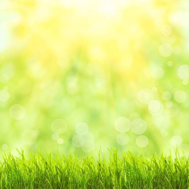 Grünes Gras über Frühlingsbokeh und Sonnenlicht
