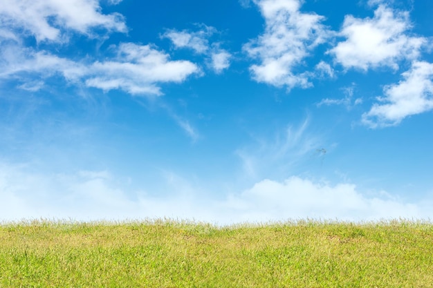 Grünes Gras und blauer Himmel