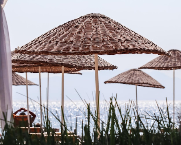 Grünes Gras und Sonnenschirme am Strand vor dem Hintergrund des strahlend blauen Meeres Sommerurlaubskonzept