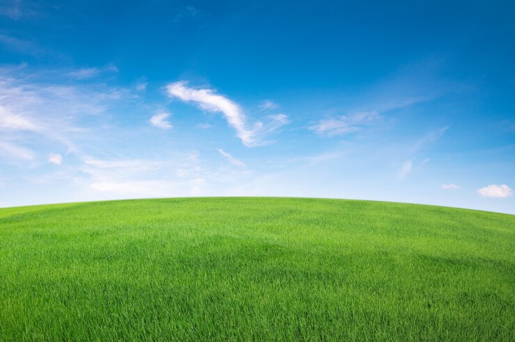 Foto grünes grasfeld mit blauem himmel und weißer wolke. natur landschaft hintergrund