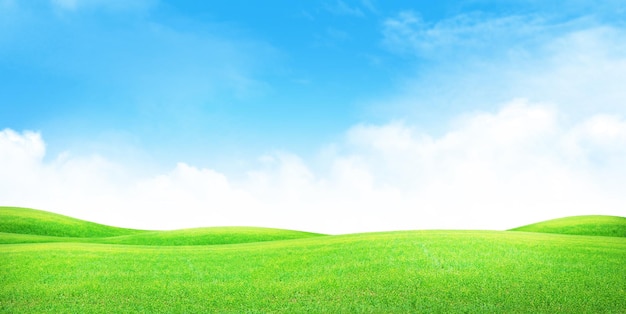 Grünes Grasfeld und klarer blauer Himmel