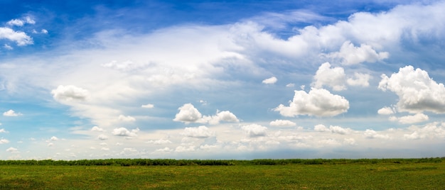 Foto grünes grasland auf blauem himmelhintergrund im frühling