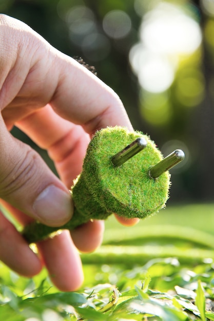 Grünes Konzept des elektrischen Steckers