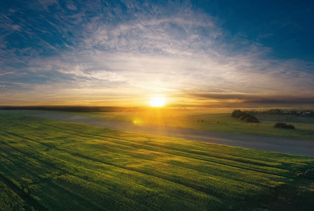 Grünes landwirtschaftliches Feld bei Sonnenuntergang aus der Luftansicht.