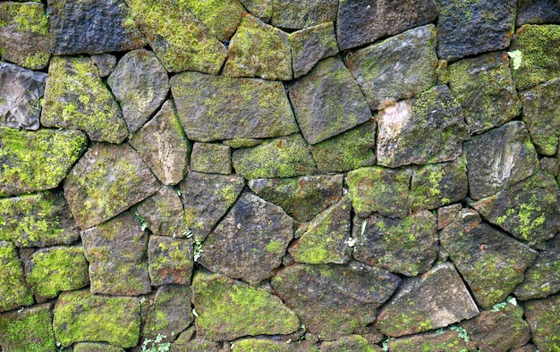 Grünes Moos auf den Steinwänden für natürlichen Hintergrund und Tapete