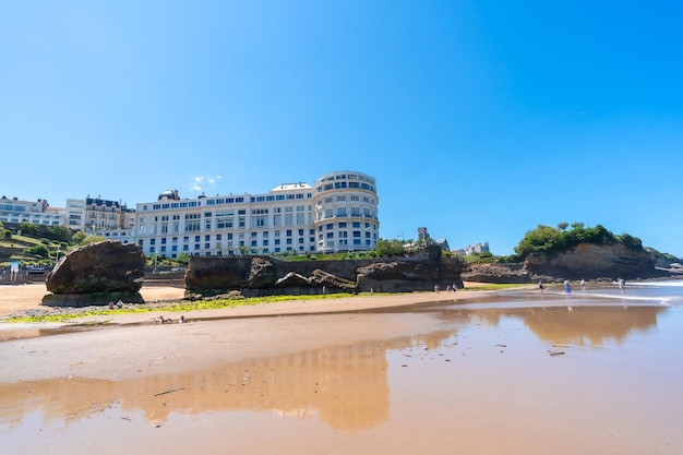 Grünes Moos bei Ebbe am Strand unter dem Basta-Felsen von Biarritz Strand Lapurdi Frankreich