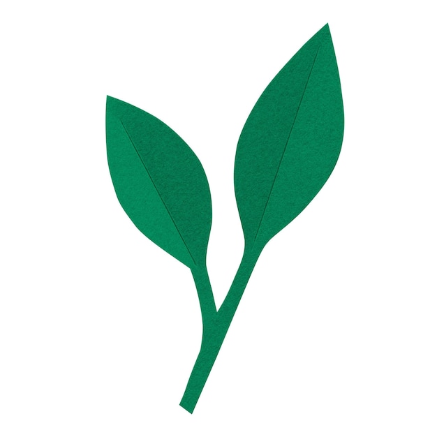 Grünes Papierblatt png-Aufkleber durchsichtiger Hintergrund