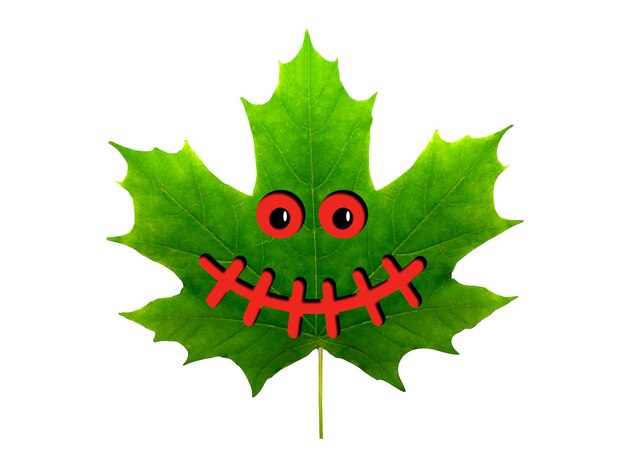 Grünes schönes Ahornblatt mit Halloween-Gesicht