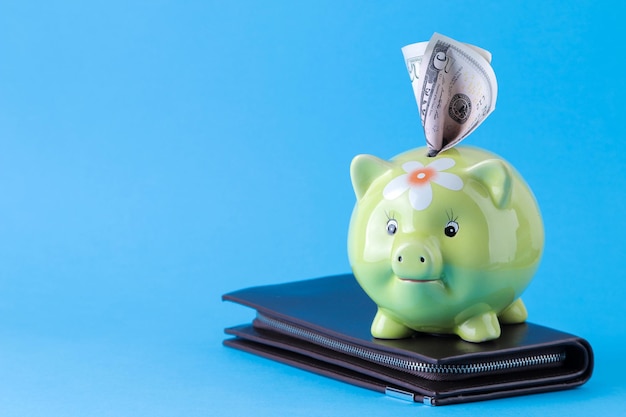 Grünes Schwein Spardose und Geld auf hellblauem Hintergrund. Finanzen, Sparen, Geld. Platz für Text