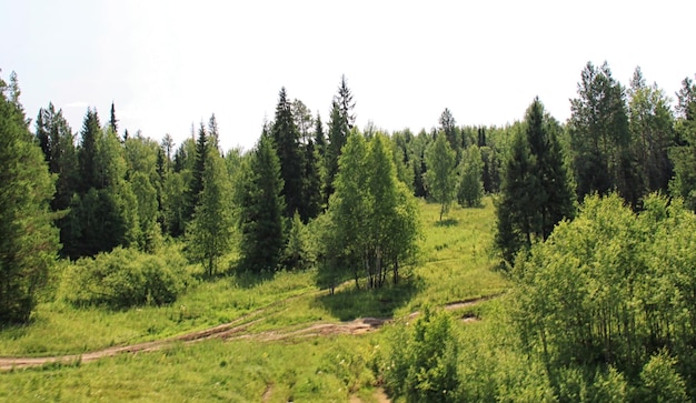 Grünes Tal im russischen Ural