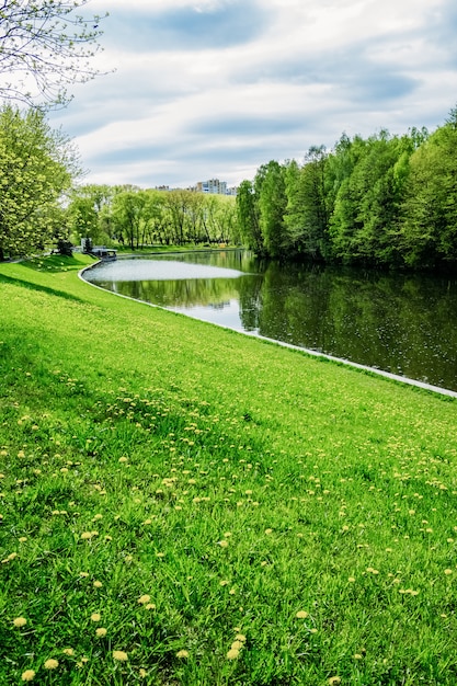 Grünes Ufer eines Reservoirs im Löwenzahn