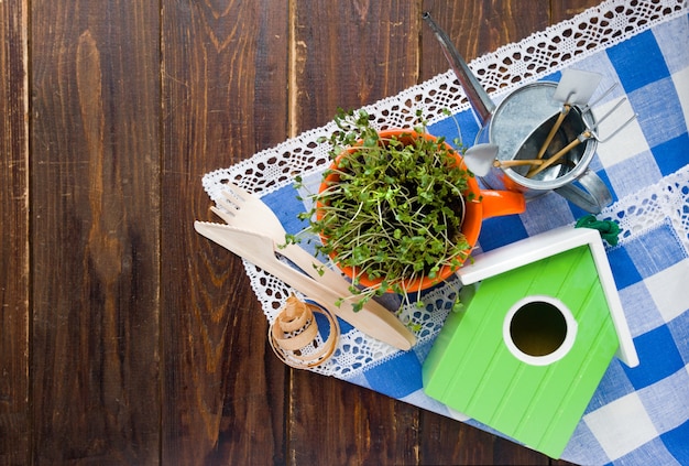 Grünes Vogelhaus, Sprossen von Mini-Grün in orangefarbener Tasse und biologisch abbaubare Gabel und Messer aus natürlichem Öko-Recycling, wiederverwendbares Material