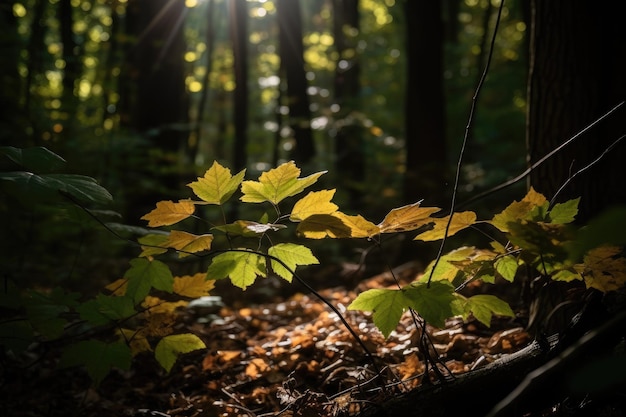 Grünes Waldlandschaftsfoto Generative KI