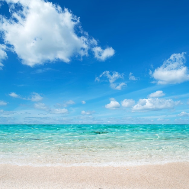 Grünes Wasser und blauer Himmel in Sardinien