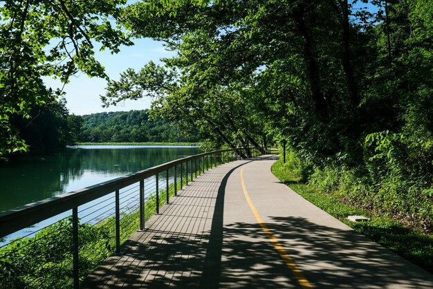 Foto grünstraße am see