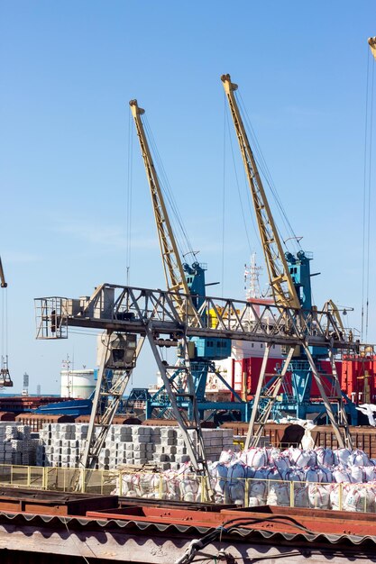 Foto grullas en el muelle comercial contra un cielo despejado