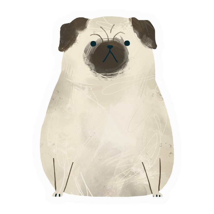Foto grumpy pug png adesivo desenho ilustração fundo transparente